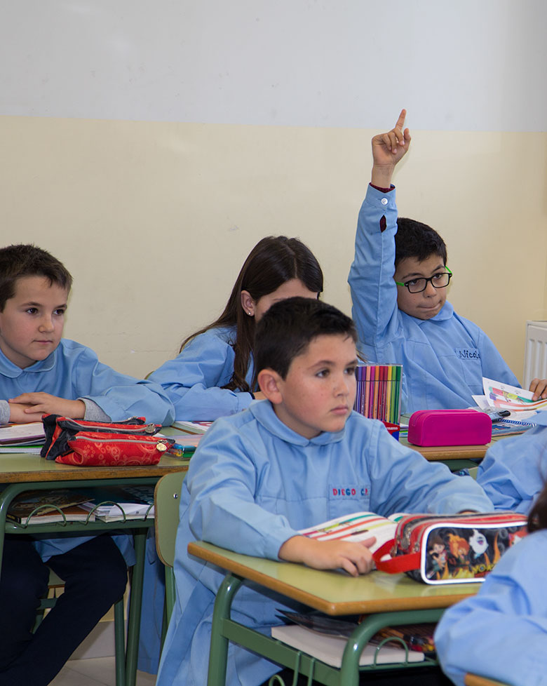 Proyecto educativo de 6 a 12 años. Colegio Mater Dei, Ayegui - Estella
